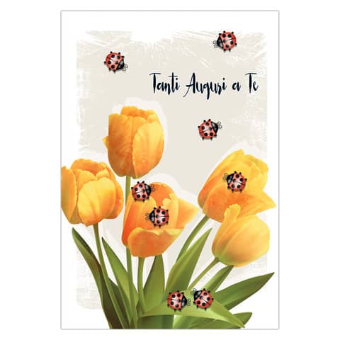 Biglietti augurali Biembi Compleanno 12x18 cm conf. 6 pezzi assortiti - coccinelle - BXBDKTC06